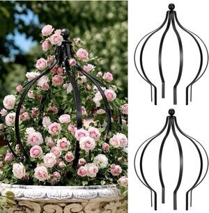 Metal Circle Trellis Garden Obelisk Topiary for Climbing Plants 18 x 12" Sturdy
